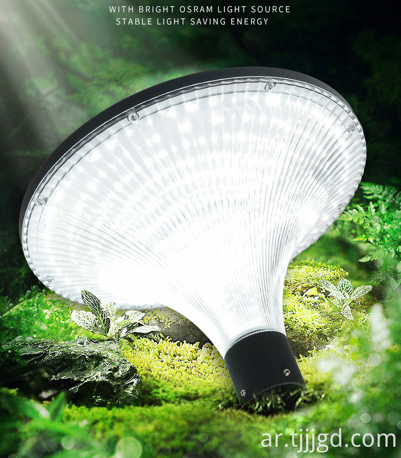 Outdoor Solar Street Lights